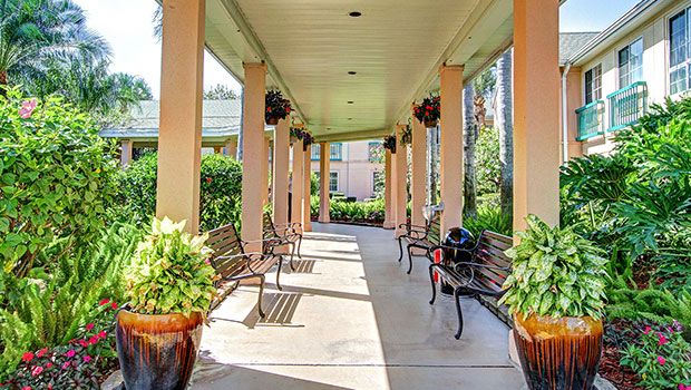 A covered outdoor walkway lined with benches and potted plants on a sunny day.