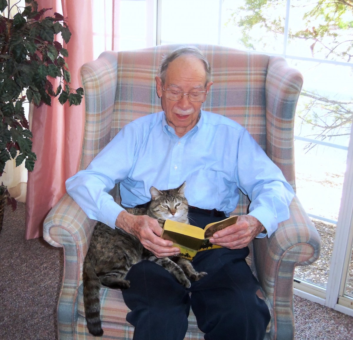 An elderly man sitting in an armchair, reading a book with a cat on his lap.