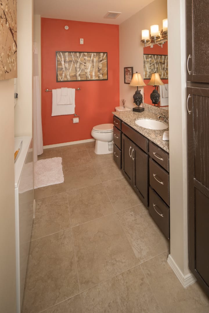 A well-decorated bathroom featuring a sink, toilet, and mirror with warm lighting.