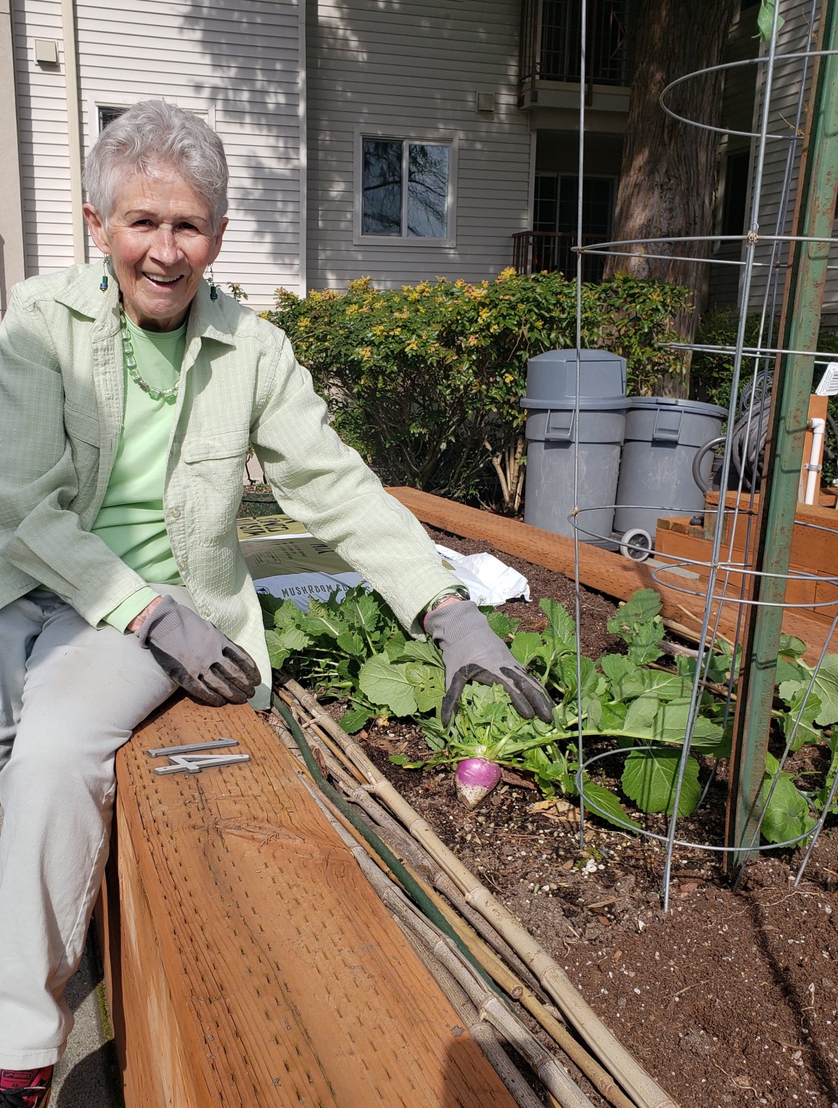 An elderly woman tends to her vegetable garden outdoors.