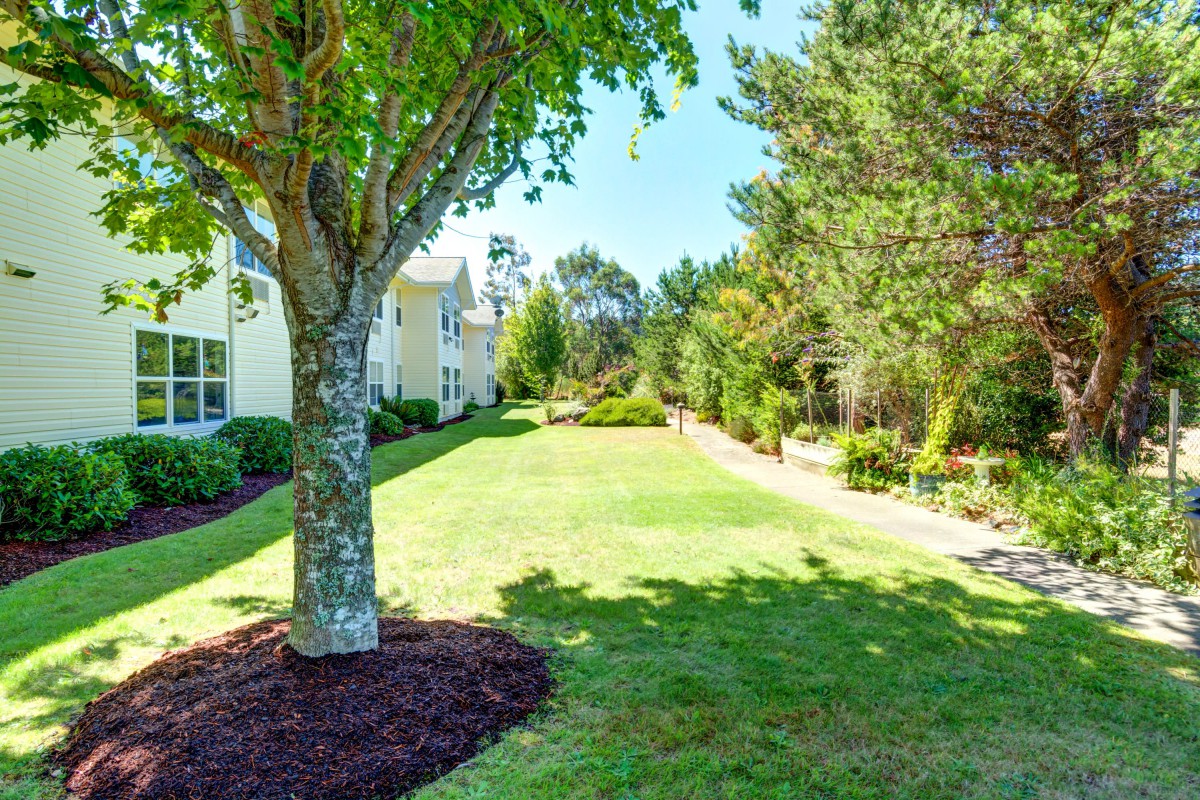 A well-maintained grassy lawn surrounded by trees and buildings on a sunny day.