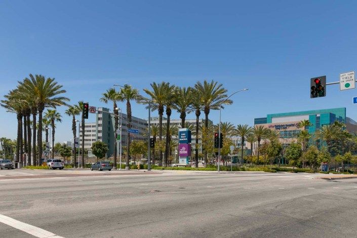 A sunny day with palm trees lining a road in front of modern buildings.