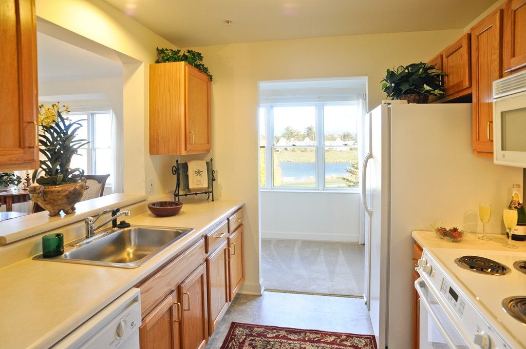 A bright kitchen with wooden cabinets and a large window overlooking a scenic view.