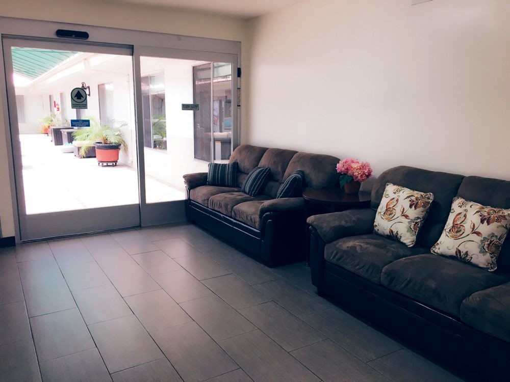 A cozy living room with dark sofas and cushions, illuminated by natural light through a large window.