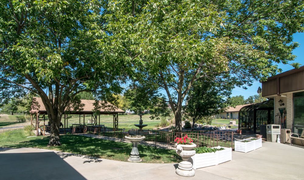 A serene garden area with a gazebo and trees on a sunny day.