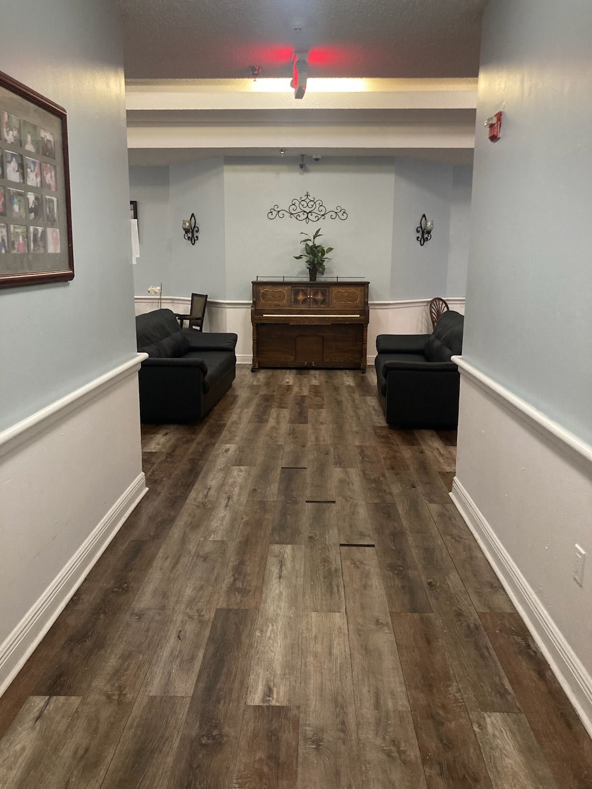 The Pine Tree of Pasadena,  LLC