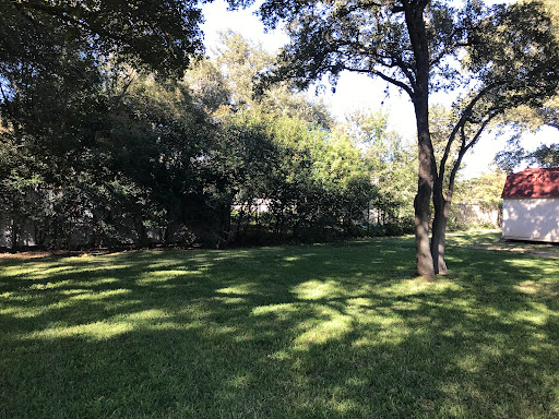 A serene view of a green park area adorned with lush trees.