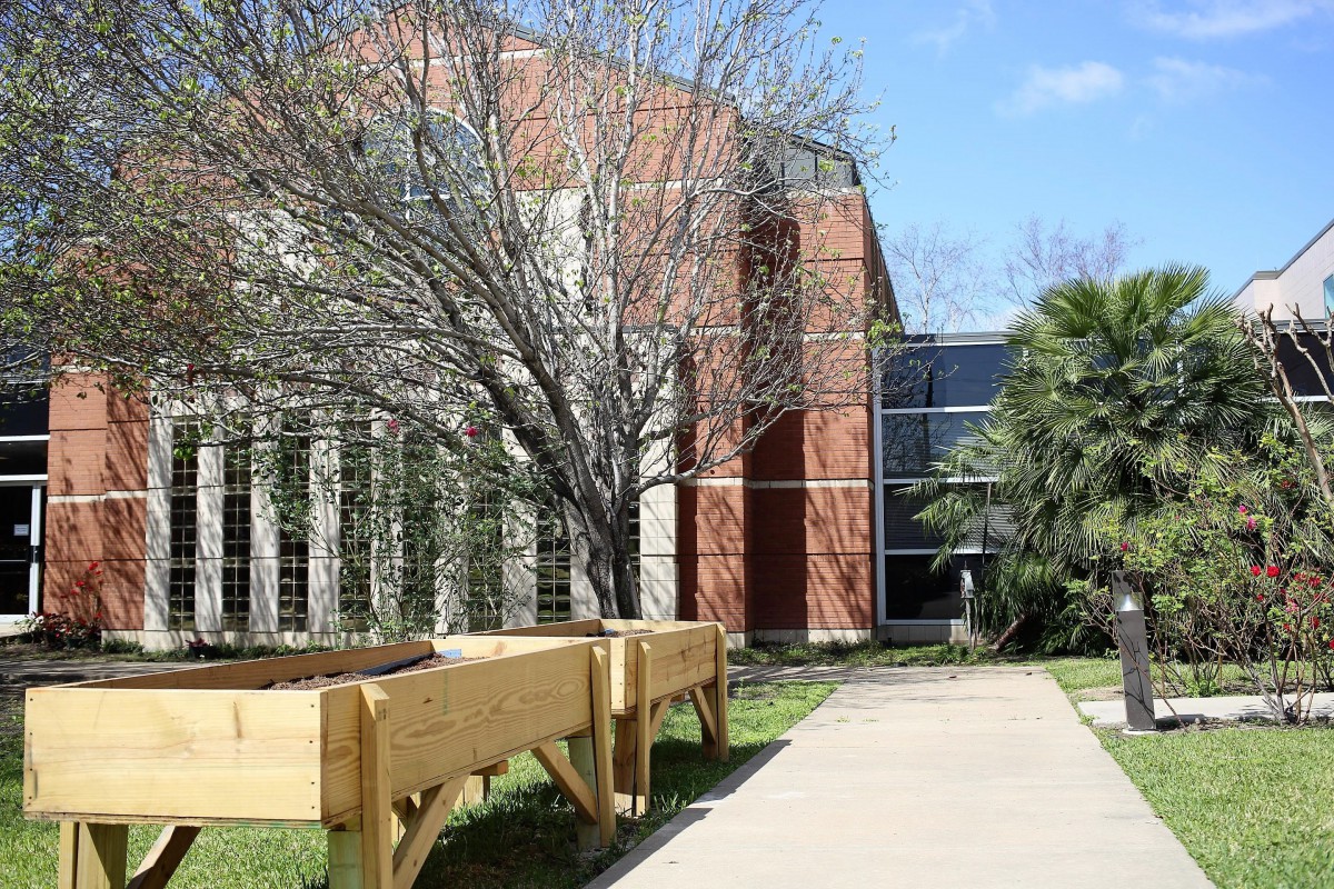 A modern building with large windows, surrounded by trees and wooden planters along a sidewalk.