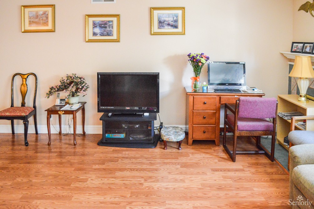Cozy living room with a television, desk, and decorative elements.