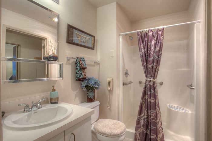A cozy bathroom with a shower curtain, sink, and decorative elements.