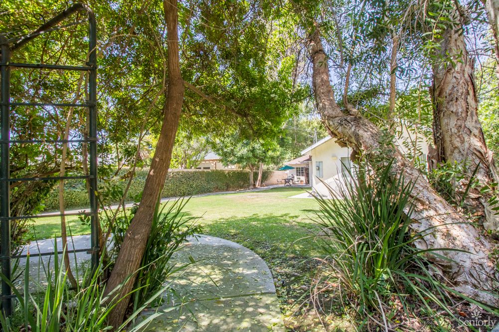 A peaceful backyard garden with lush green trees and grass.