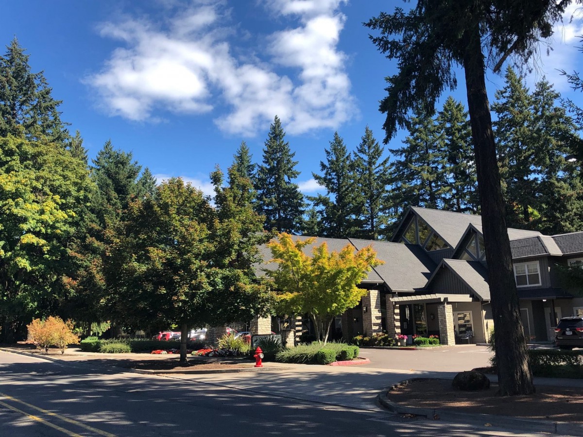 A beautiful residential house surrounded by trees under a clear blue sky.