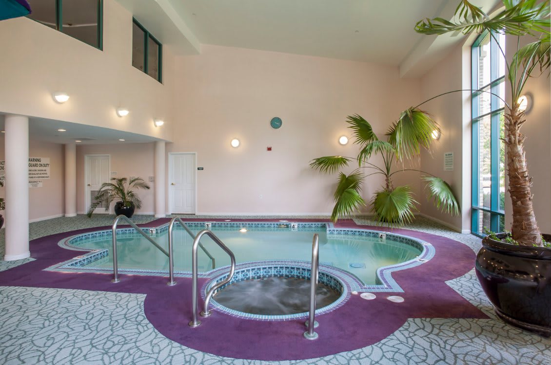 An indoor pool area with a hot tub and tropical plants.