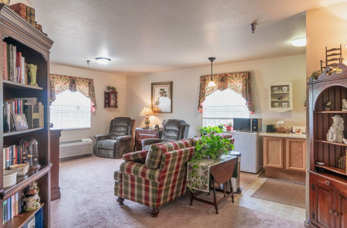 A cozy living room with comfortable seating, decorative elements, and natural light.