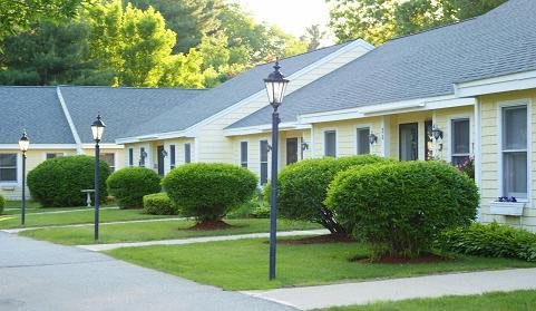 A row of suburban houses with neatly trimmed bushes and a lamp post along a sidewalk.