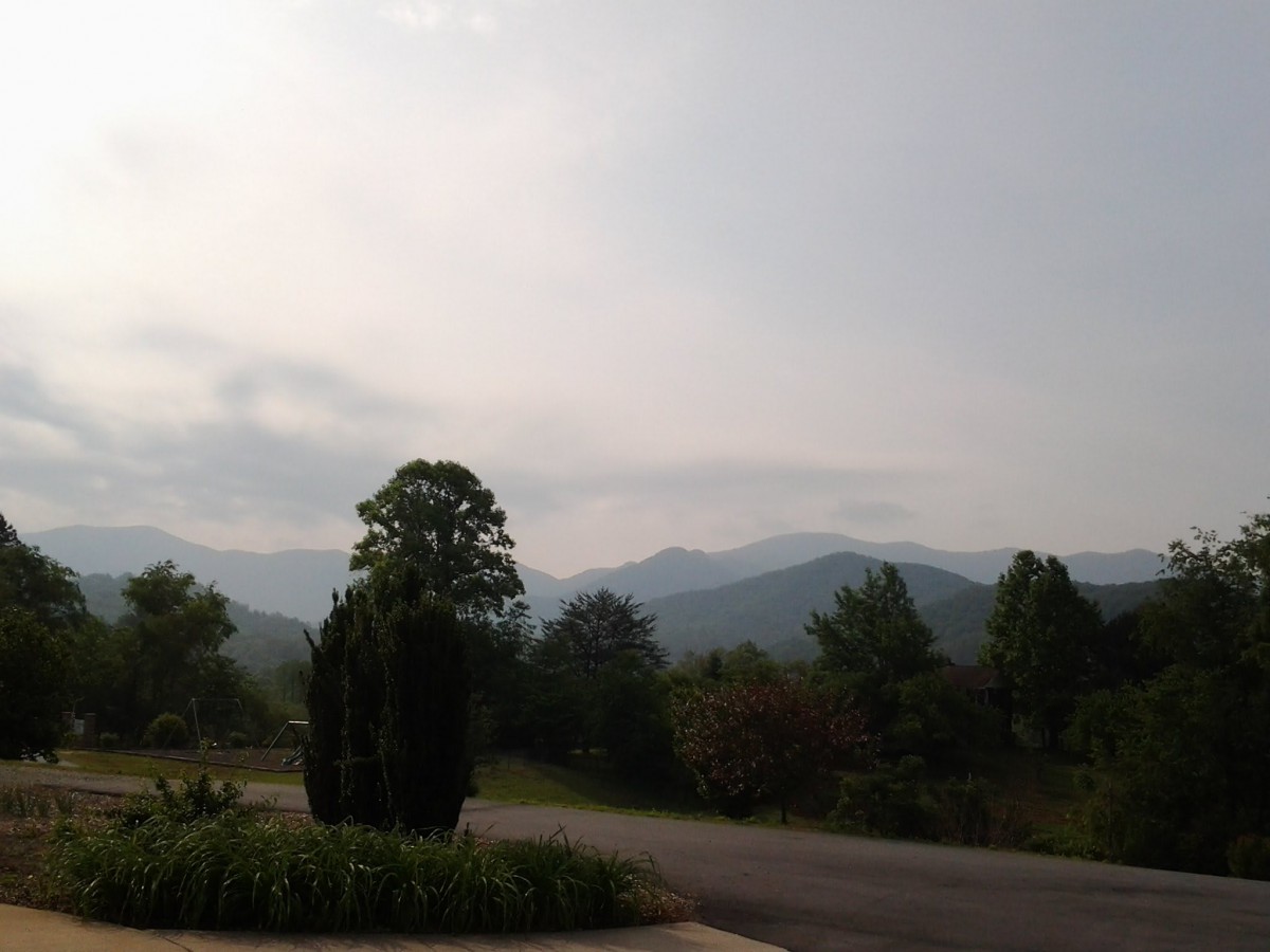 A scenic view of distant mountains under a clear sky, framed by trees and a winding road.