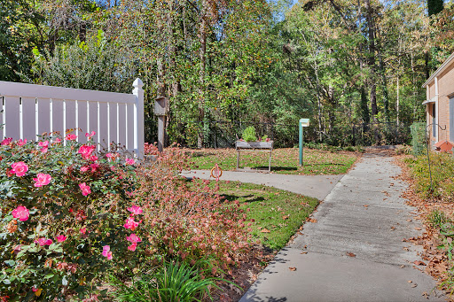 A serene pathway in a park, bordered by vibrant flowers and lush greenery.