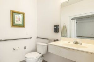 A clean, accessible bathroom featuring a toilet, sink, mirror, and wall artwork.