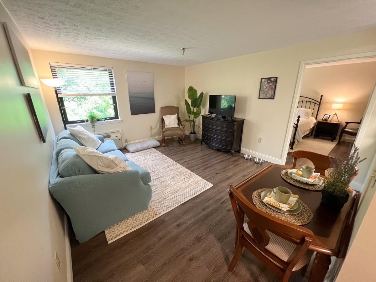 A cozy living and dining area with modern decor, featuring a sofa, chair, television, and a small dining table on wood flooring.