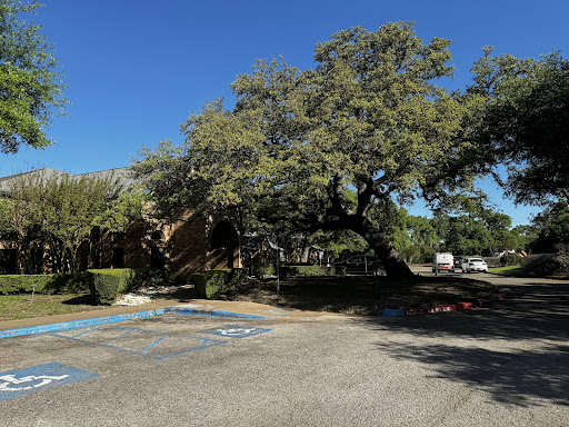 A spacious parking lot shaded by a large tree under a clear blue sky.