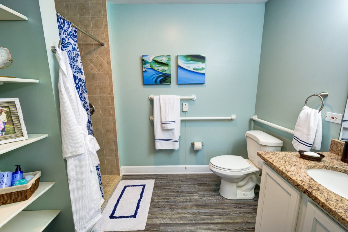A modern bathroom with a walk-in shower, toilet, and stylish decor.