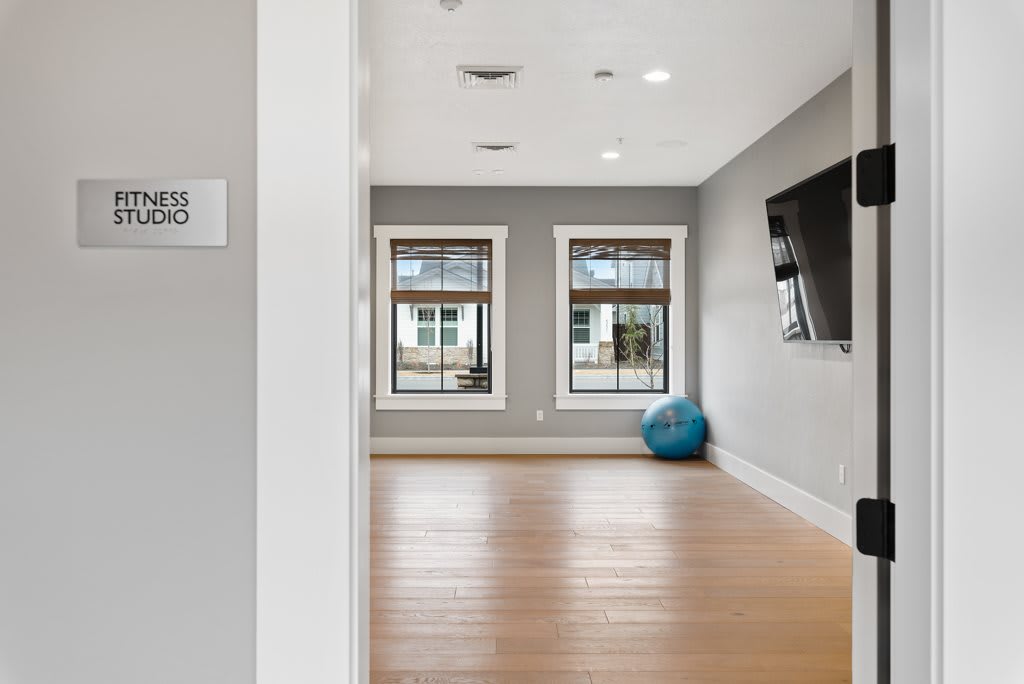 A minimalist yoga room with hardwood floors, featuring large windows, an exercise ball, and a wall-mounted TV.