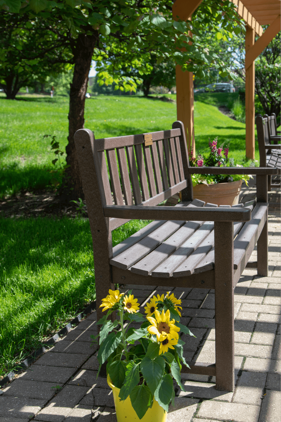 A wooden bench on a sunny day, surrounded by lush greenery and blooming sunflowers along a paved pathway.
