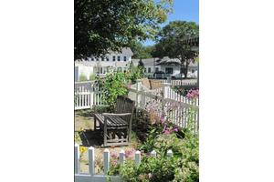 A sunny garden with a wooden bench, surrounded by flowers and a white picket fence.