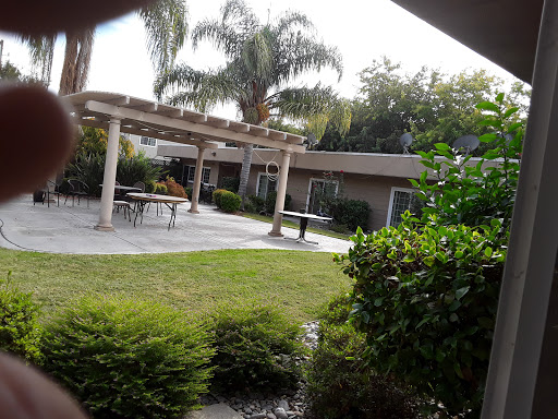 A serene outdoor space featuring a well-maintained garden, patio area, and palm trees.