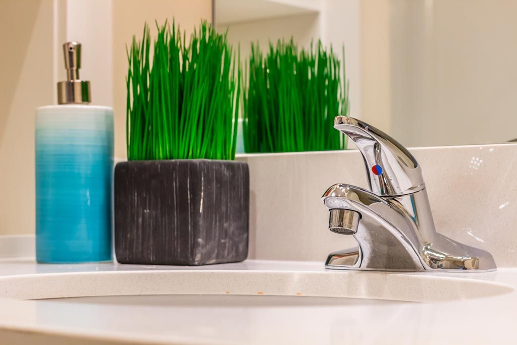 A modern bathroom sink with a sleek faucet, a decorative green plant, and a blue soap dispenser.