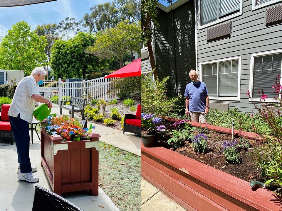 People tending to plants in a garden with raised beds on a sunny day.