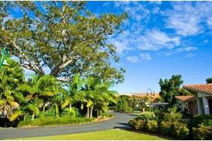 A scenic view of a lush landscape with tall trees under a clear blue sky.