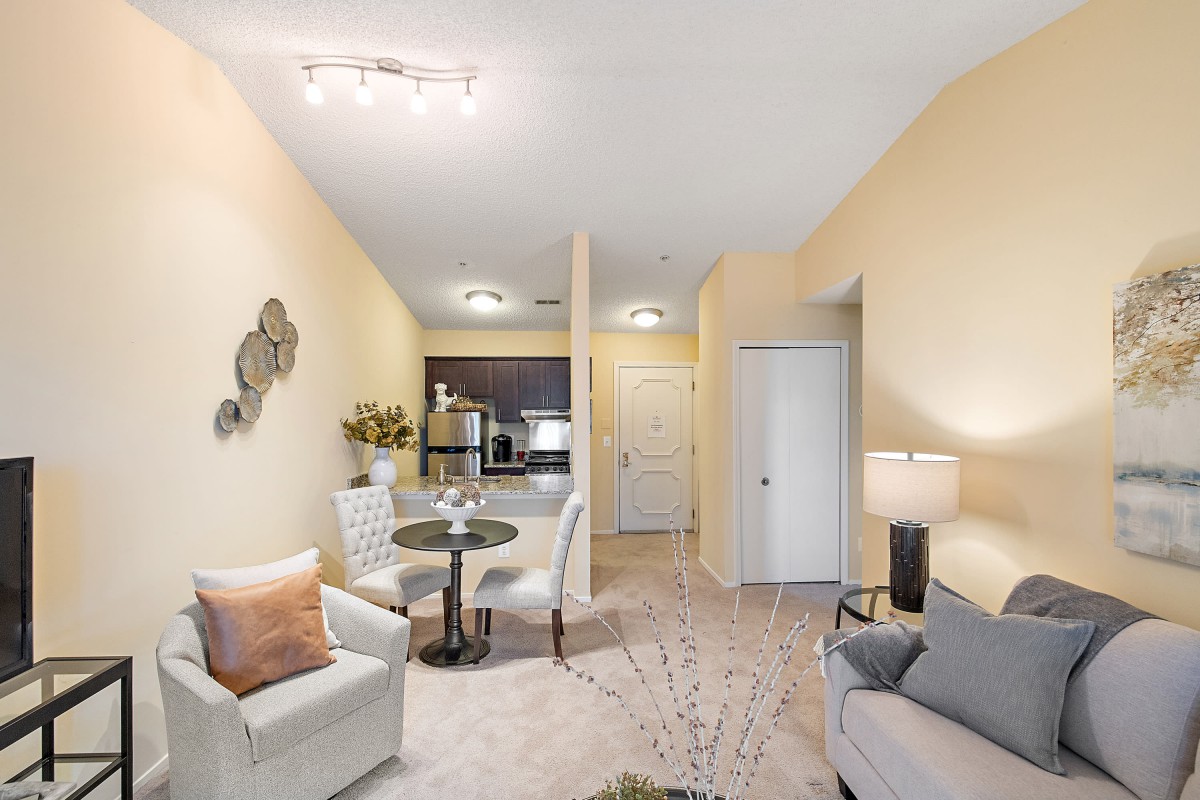 A modern apartment interior featuring a cozy living room and dining area connected to the kitchen.