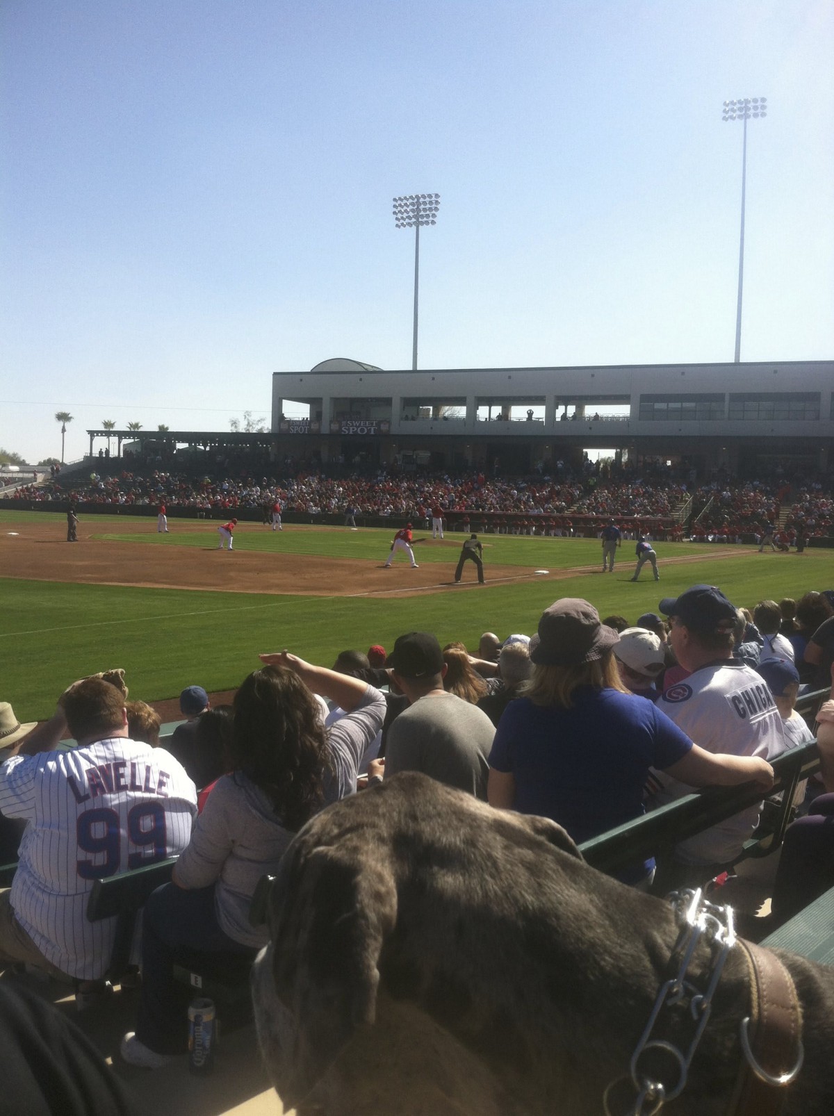 A lively baseball game with a cheering crowd in a sunny stadium.
