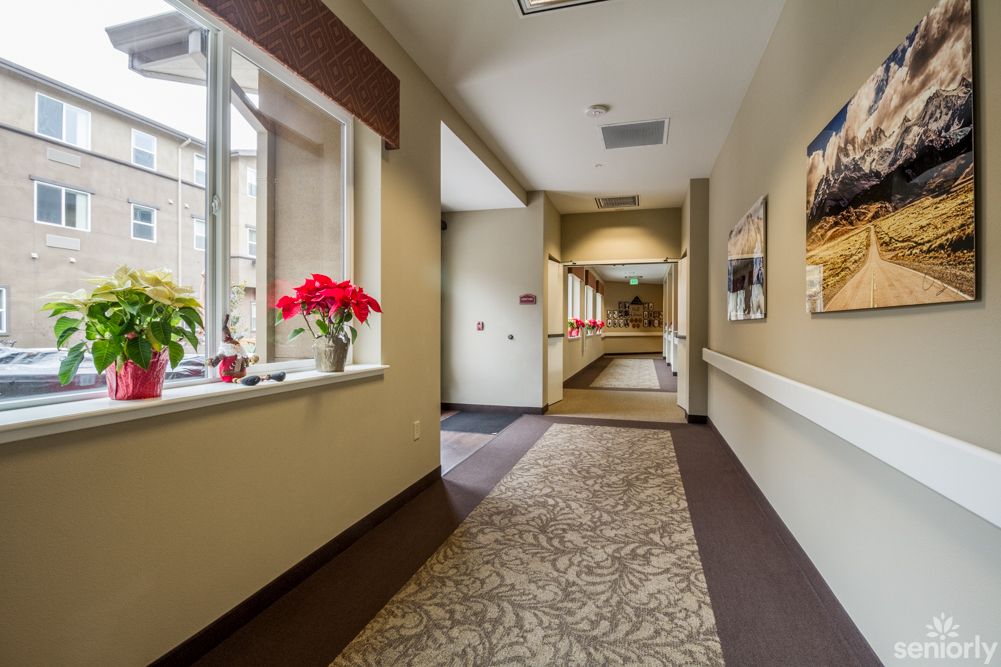 A well-lit hallway with a window and potted plants.