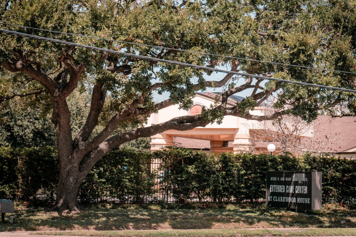 A house partially obscured by a large tree and hedge in a residential area.