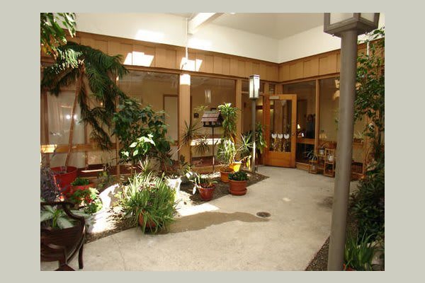 A sunlit indoor space featuring a variety of plants and natural decor.