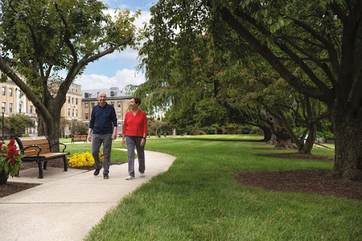 A couple enjoys a leisurely walk through a park on a cloudy day.