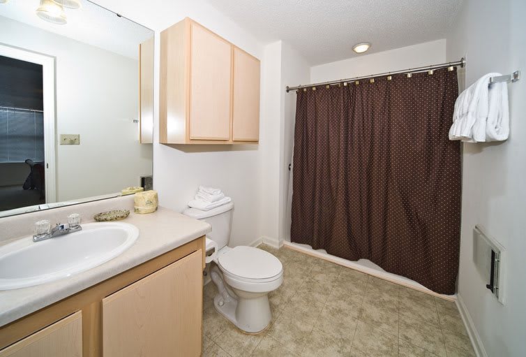 A clean bathroom interior featuring a toilet, sink, mirror, cabinet, and a brown shower curtain.