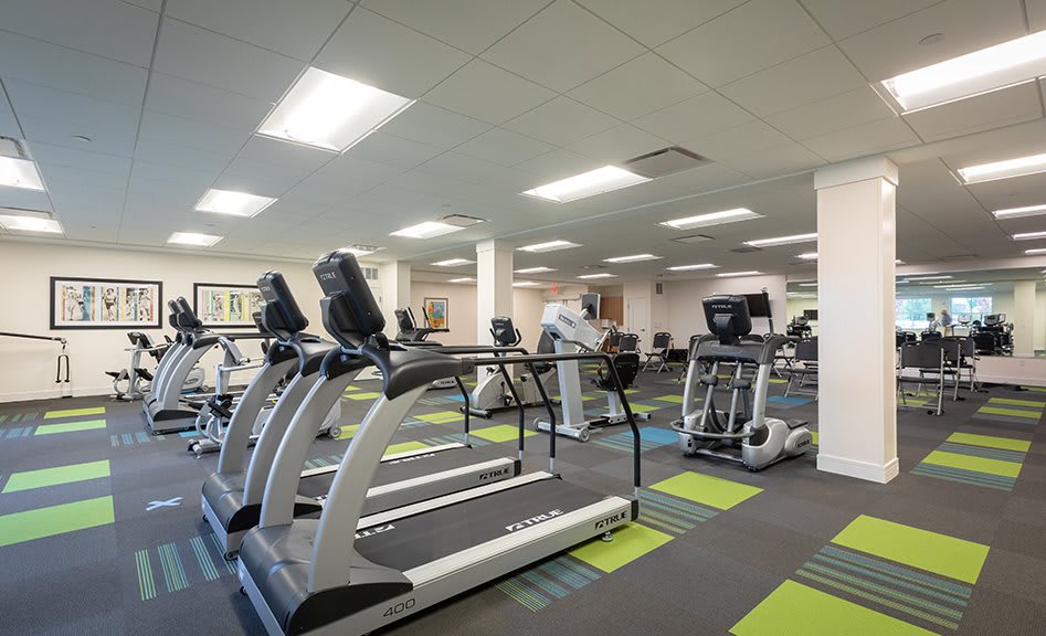 A modern gym equipped with treadmills and other exercise machines.