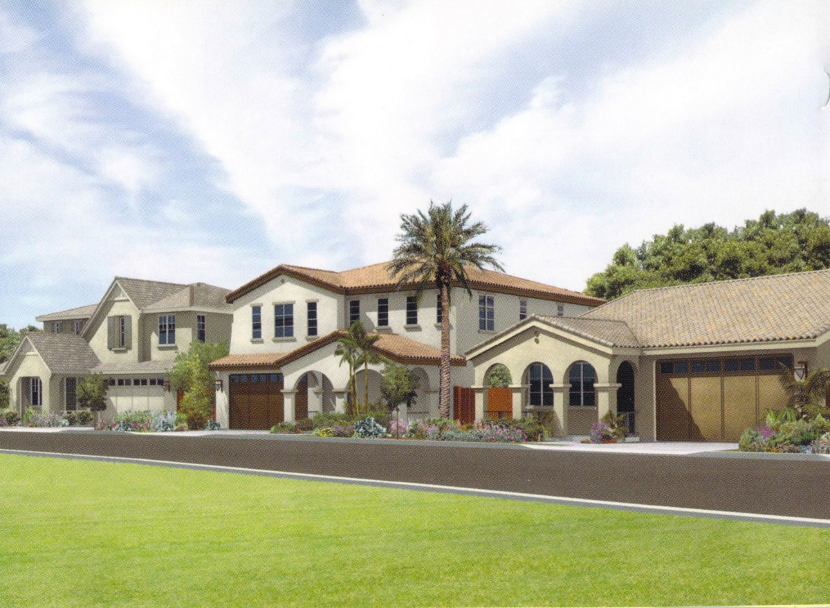 A row of suburban houses with well-maintained lawns and palm trees.