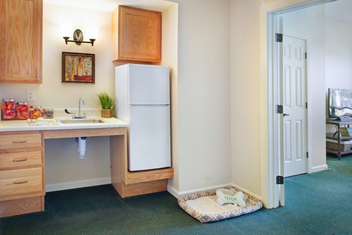 A small kitchenette with a refrigerator, sink, and a pet bed nearby.