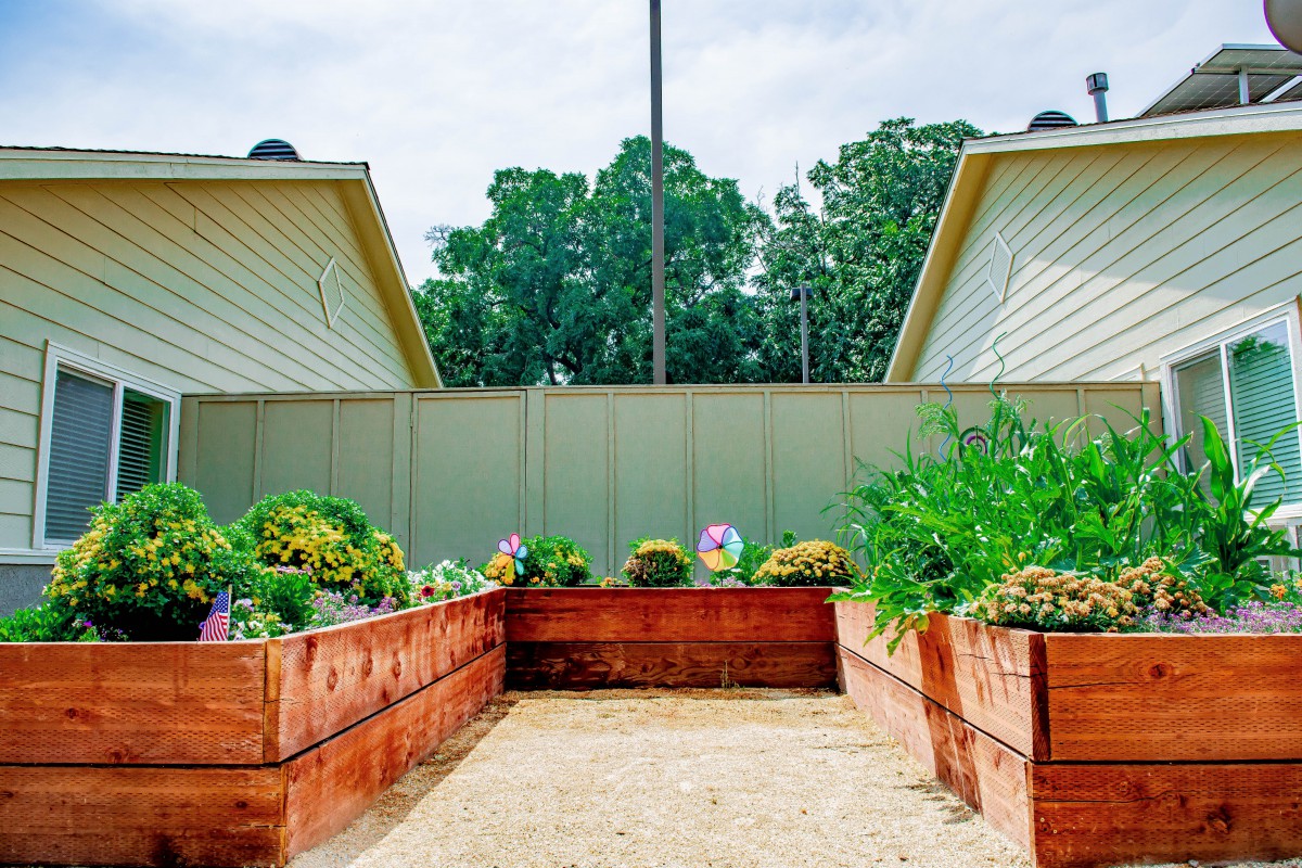 A well-maintained vegetable garden with raised beds in a backyard setting.