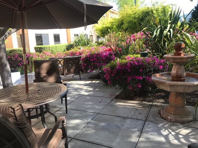 A sunny patio with outdoor seating surrounded by colorful flowers and greenery.