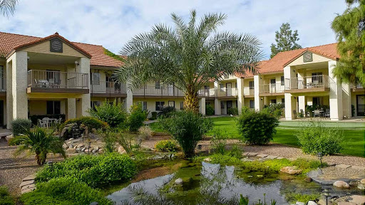 A serene garden view featuring palm trees and a tranquil water feature surrounded by residential buildings.