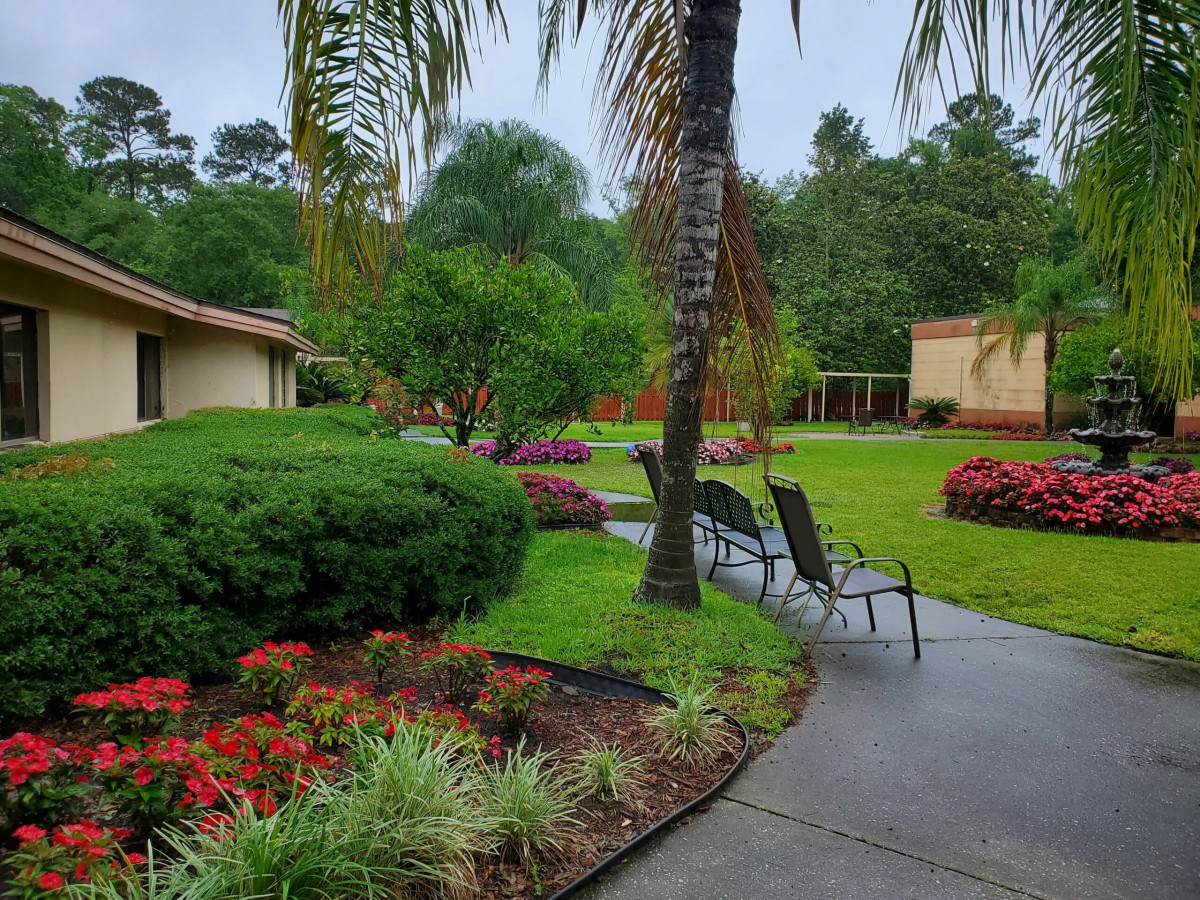 A serene garden with a pathway surrounded by lush greenery and colorful flowers.