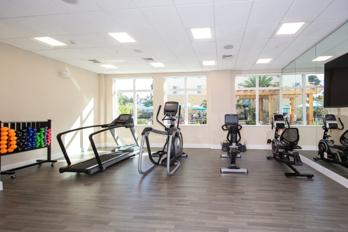A modern gym with various exercise machines including treadmills, ellipticals, and stationary bikes.