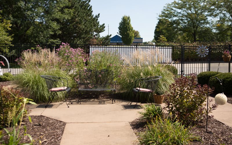 A tranquil garden area featuring benches surrounded by lush plants.