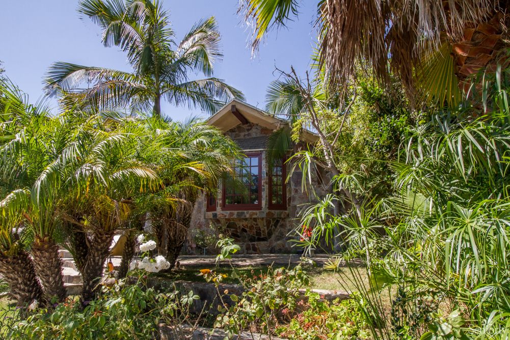 A charming house surrounded by lush tropical plants and palm trees in a garden setting.