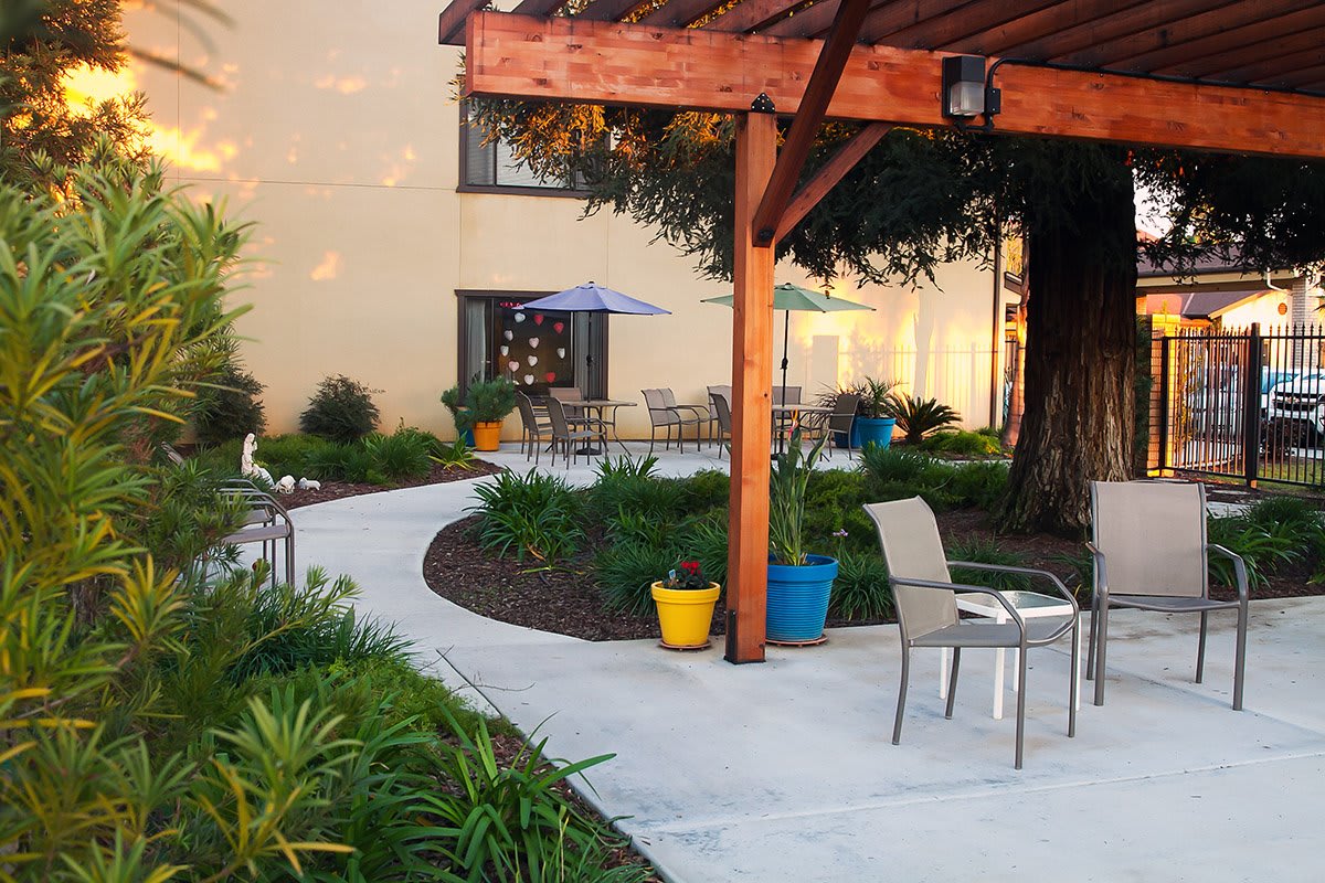 A serene outdoor patio area with seating, surrounded by lush plants and colorful pots.
